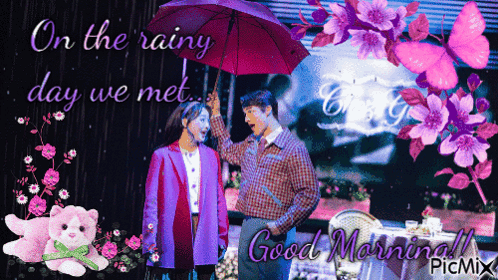 A Couple Holding An Umbrella With The Words On The Rainy Day We Met GIF