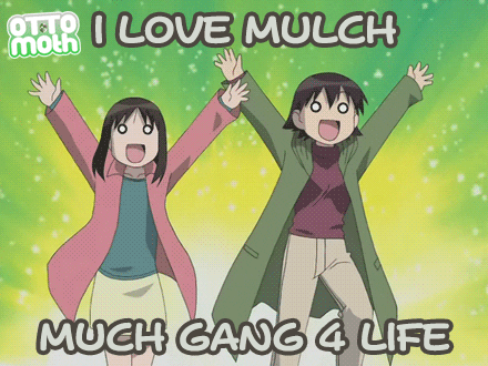 A Couple Of Anime Characters With The Words I Love Mulch Much Gang 4 Life Under Them GIF