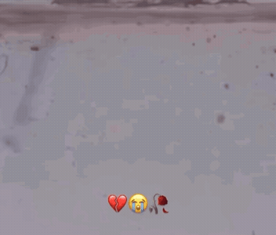 A Couple Of Ants Shaking Hands With A Broken Heart Behind Them GIF