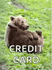 A Couple Of Bears Laying In The Grass With The Words `` Credit Card '' Above Them . GIF