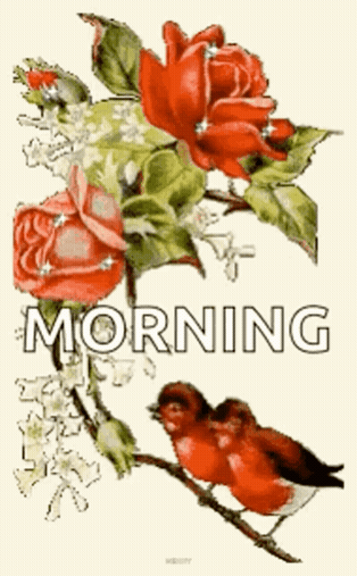 A Couple Of Birds Sitting On A Branch Next To A Bunch Of Red Roses GIF