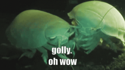A Couple Of Bugs Are Standing Next To Each Other With The Words " Golly Oh Wow " In The Background GIF