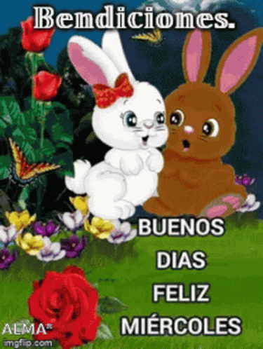A Couple Of Bunny Rabbits Sitting Next To Each Other With The Words Bendiciones Buenos Dias Feliz Miercoles On The Botto GIF