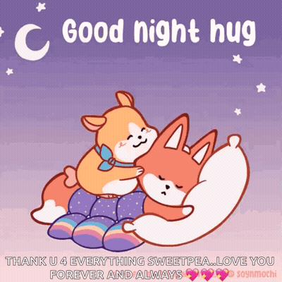 A Couple Of Cartoon Animals Hugging Each Other With The Words Good Night Hug GIF