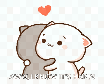 A Couple Of Cartoon Cats Hugging Each Other With The Words Aww I Know It 'S Hard GIF