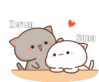 A Couple Of Cartoon Cats Sitting Next To Each Other With The Name Kerem And Suna Written On Them Sticker
