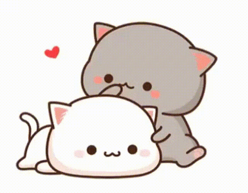 Cats Laying Next To Each Other Hugging GIF