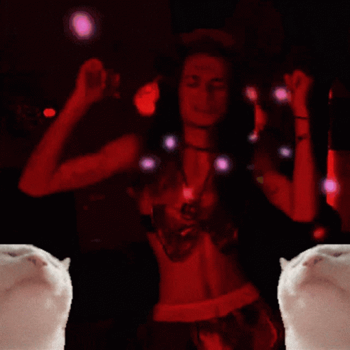 A Couple Of Cats Are Looking At A Man In A Dark Room GIF