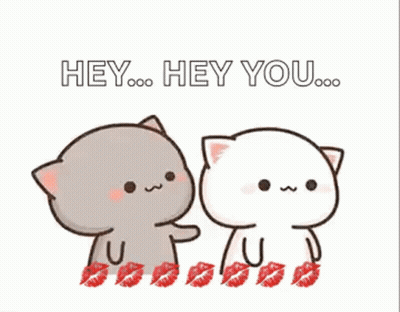 A Couple Of Cats Are Standing Next To Each Other And Kissing . GIF