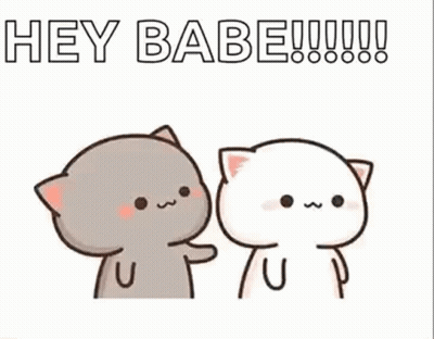 A Couple Of Cats Are Standing Next To Each Other And One Is Touching The Other 'S Face . GIF