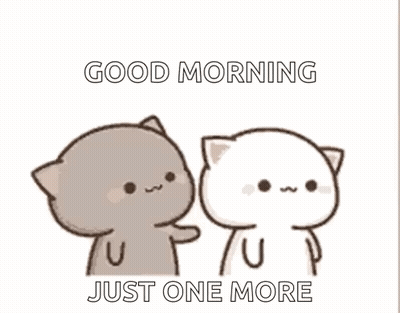 A Couple Of Cats Are Standing Next To Each Other And One Of Them Is Touching The Other 'S Face . GIF