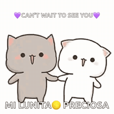 A Couple Of Cats Holding Hands With The Words Can 'T Wait To See You GIF