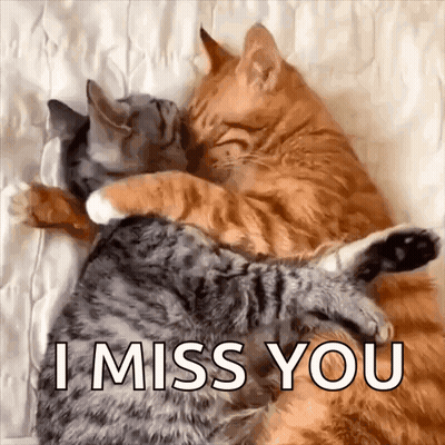 A Couple Of Cats Hugging Each Other On A Bed With The Words `` I Miss You '' Written On The Bottom . GIF