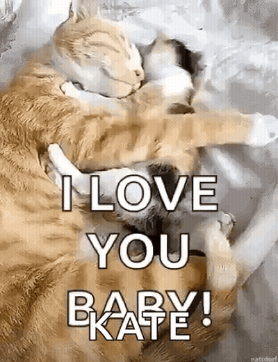 A Couple Of Cats Laying Next To Each Other On A Bed With The Words `` I Love You Baby ! '' GIF