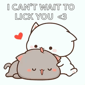 A Couple Of Cats Laying Next To Each Other With A Heart In The Background . GIF