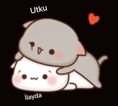 A Couple Of Cats Laying On Top Of Each Other On A Black Background . GIF