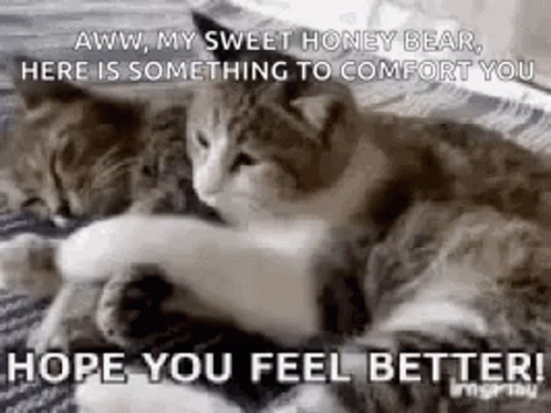 A Couple Of Cats Laying On Top Of Each Other On A Blanket . GIF