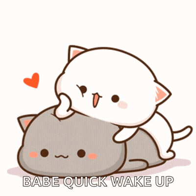 A Couple Of Cats Laying On Top Of Each Other With The Words " Babe Quick Wake Up " Below Them GIF