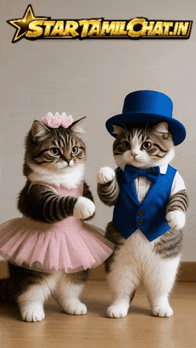 A Couple Of Cats Standing Next To Each Other With A Star Tamilchat.in Logo GIF