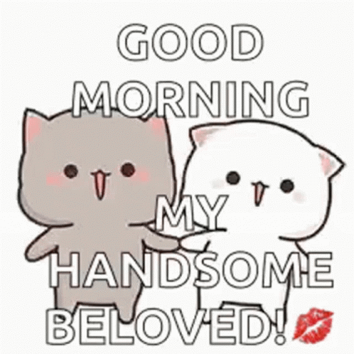A Couple Of Cats Standing Next To Each Other With The Words `` Good Morning My Handsome Beloved '' Written On Them . GIF