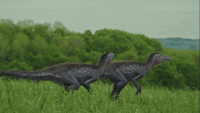 A Couple Of Dinosaurs Running In A Grassy Field GIF