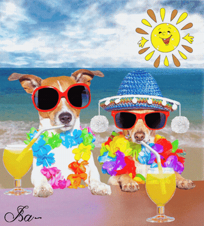A Couple Of Dogs Wearing Sunglasses And Sombrero Drinking From Glasses GIF