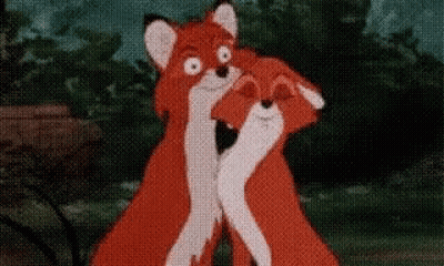 A Couple Of Foxes Hugging Each Other In A Forest . GIF