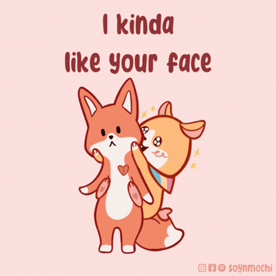 A Couple Of Foxes Standing Next To Each Other With The Words I Kinda Like Your Face Above Them GIF