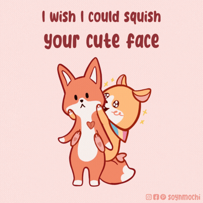 A Couple Of Foxes Standing Next To Each Other With The Words " I Wish I Could Squish Your Cute Face " GIF