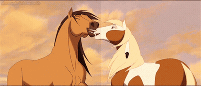 A Couple Of Horses Standing Next To Each Other And One Of Them Is Licking The Other GIF