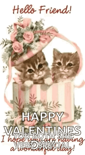 A Couple Of Kittens Sitting On Top Of A Box With Flowers On It . GIF