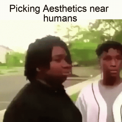 A Couple Of Men Are Standing Next To Each Other On A Sidewalk With The Caption Picking Aesthetics Near Humans GIF