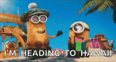 A Couple Of Minions Standing Next To Each Other With The Words I 'M Heading To Hawaii On The Bottom GIF