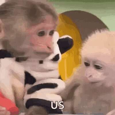A Couple Of Monkeys Are Sitting Next To Each Other And One Is Holding A Stuffed Animal . GIF