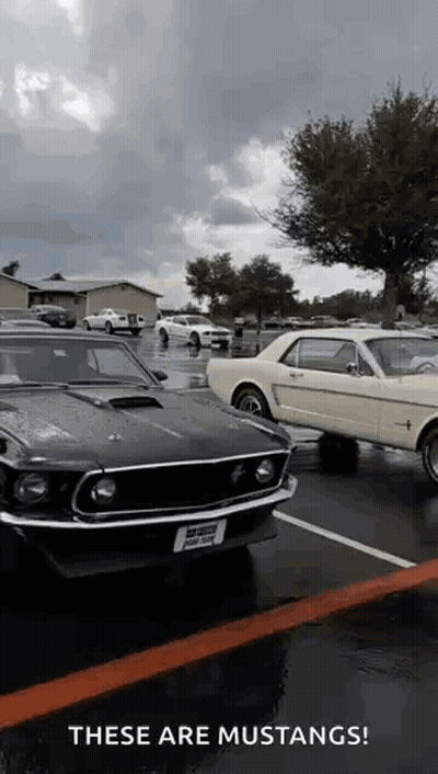 A Couple Of Mustangs Are Parked In A Parking Lot On A Rainy Day . GIF