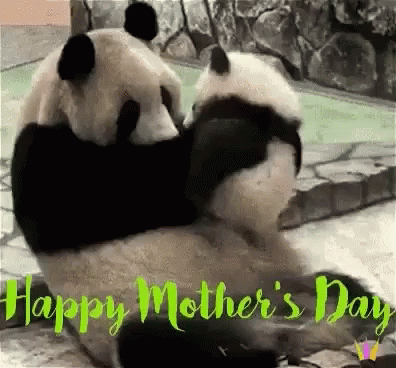 A Couple Of Panda Bears Hugging Each Other On A Happy Mother 'S Day Card . GIF