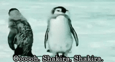 A Couple Of Penguins Standing Next To Each Other In The Snow With The Words Oooooooh . Shakira . Shakira . GIF