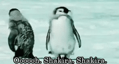 A Couple Of Penguins Standing Next To Each Other In The Snow With Their Wings Outstretched . GIF