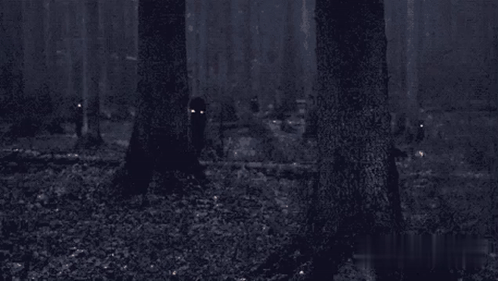 A Couple Of People Standing In A Dark Forest At Night . GIF