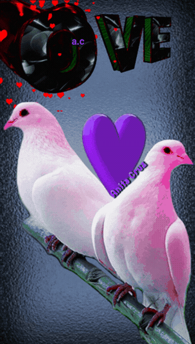 A Couple Of Pigeons Sitting On A Branch With A Purple Heart And The Word Love Above Them GIF