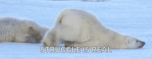 A Couple Of Polar Bears Laying In The Snow With The Words `` Struggle Is Real '' Written Above Them . GIF