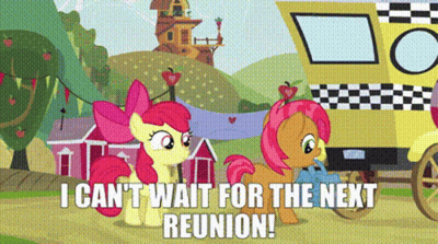 A Couple Of Ponies Standing Next To Each Other With The Words I Can T Wait For The Next Reunion GIF