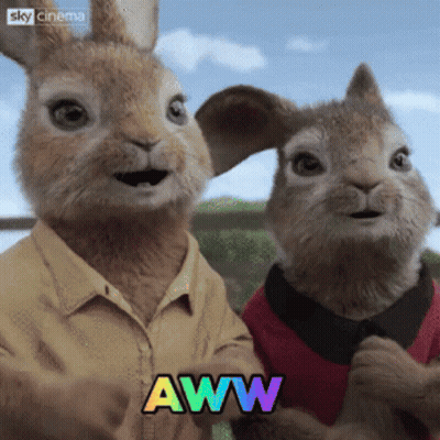 A Couple Of Rabbits Standing Next To Each Other With The Word Aww On The Bottom Right GIF