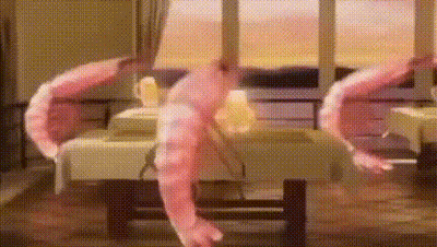 A Couple Of Shrimp Are Sitting On A Table In A Room . GIF