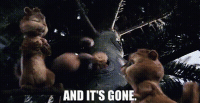 A Couple Of Squirrels Are Standing Next To Each Other And Talking To Each Other . GIF