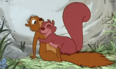 A Couple Of Squirrels Hugging Each Other In A Cartoon .. GIF