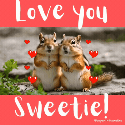 A Couple Of Squirrels Hugging With The Words Love You Sweetie On The Bottom GIF