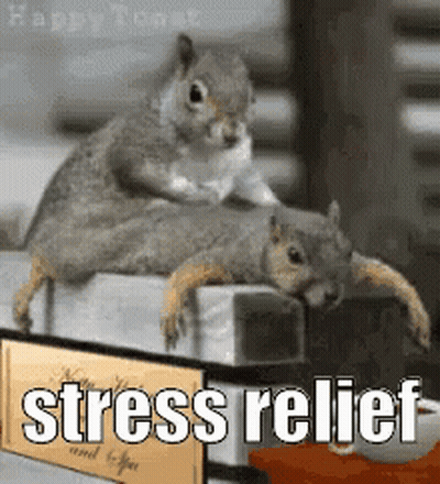 A Couple Of Squirrels Laying On Top Of Each Other Next To A Sign That Says ' Stress Relief ' GIF