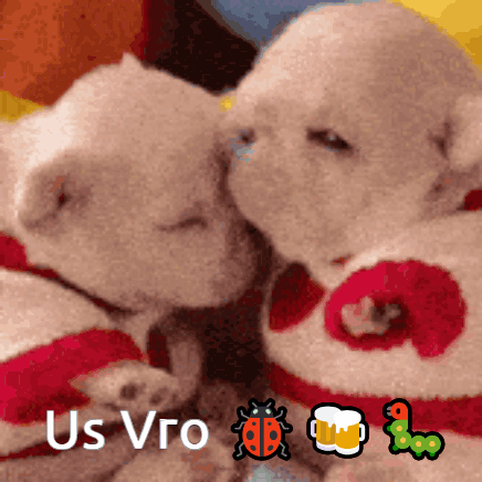 A Couple Of Stuffed Animals Laying Next To Each Other With The Words " Us Vro " On The Bottom Right GIF