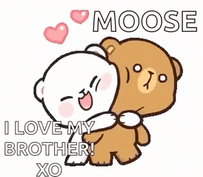 A Couple Of Teddy Bears Hugging Each Other . GIF